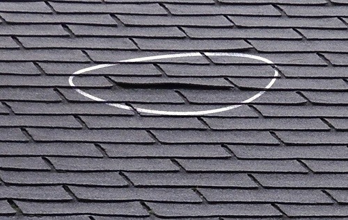 Residential and Commercial Restoration roof inspections