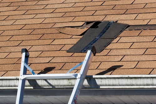 punta gorda roof repair
